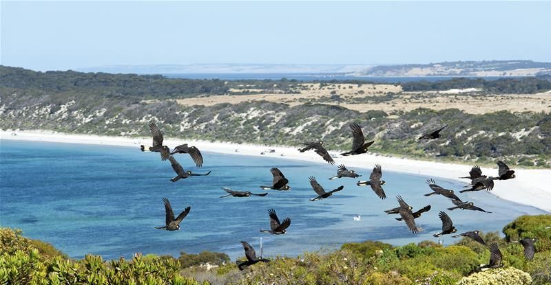 Lot 61 Bayview Road Emu Bay SA, Emu Bay - Thumbnail 2