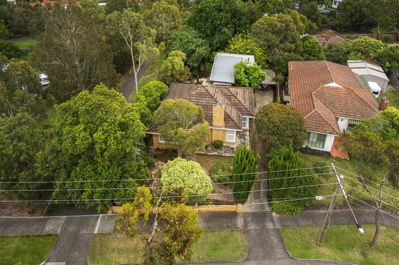 23 Morley Crescent, Box Hill North - Thumbnail 6