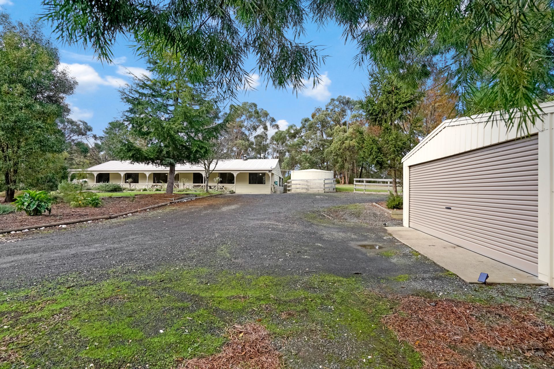 99 Lemajics Road Scarsdale VIC, Scarsdale - Thumbnail 5