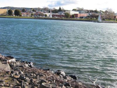 9 Wheeler Street, EAST DEVONPORT, East Devonport - Thumbnail 4