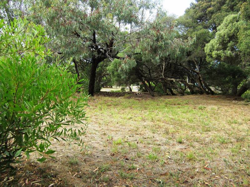 87 Seventh Avenue, Anglesea, VIC, Anglesea - Thumbnail 6