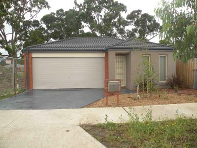 4 Glory Street SOUTH MORANG, South Morang - Thumbnail 6
