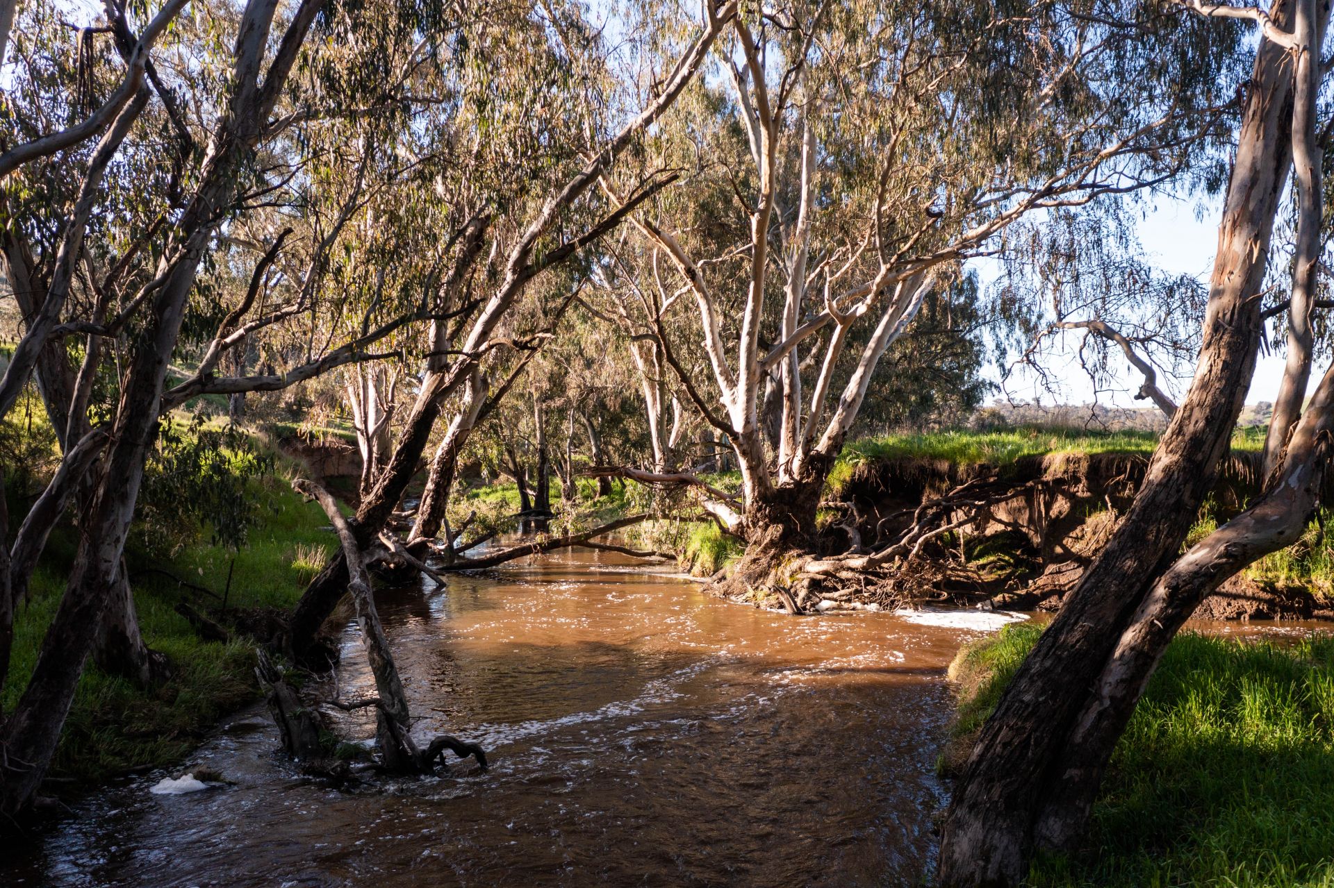 'Prospect' Sheridan Park Road, Boorowa NSW, Boorowa - Thumbnail 5