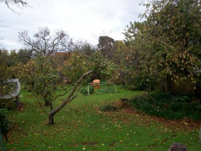 3
 
 
 
  
 
 
 1
 
 
 
  
 
 
 1
 
 
 
 
 
 
 
 35 Middle Road, DEVONPORT TAS 7310, Devonport - Thumbnail 8