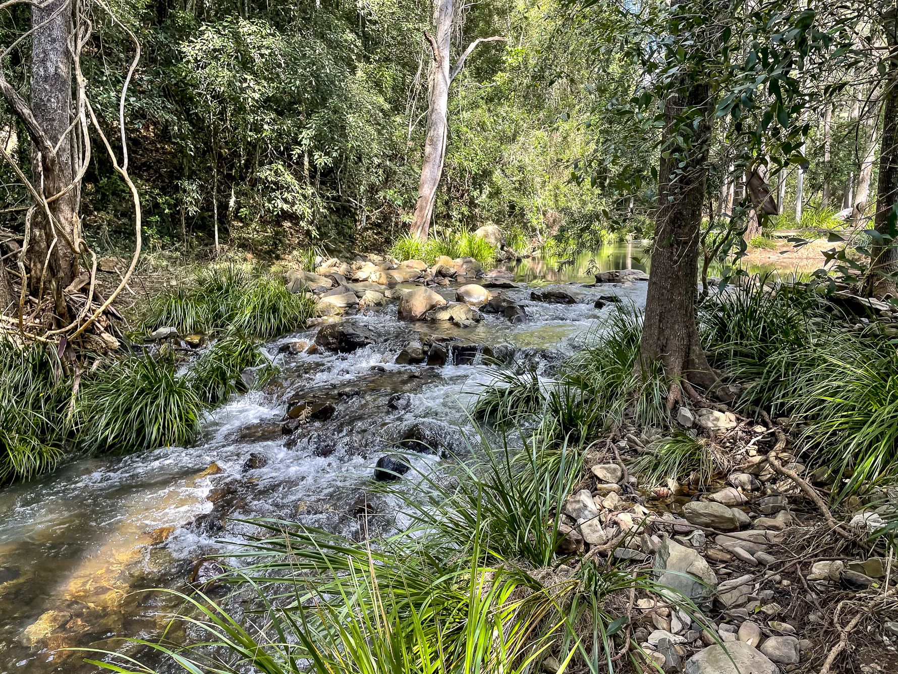 Real Estate For Sale 507 Cedar Creek Road Cedar Creek , QLD