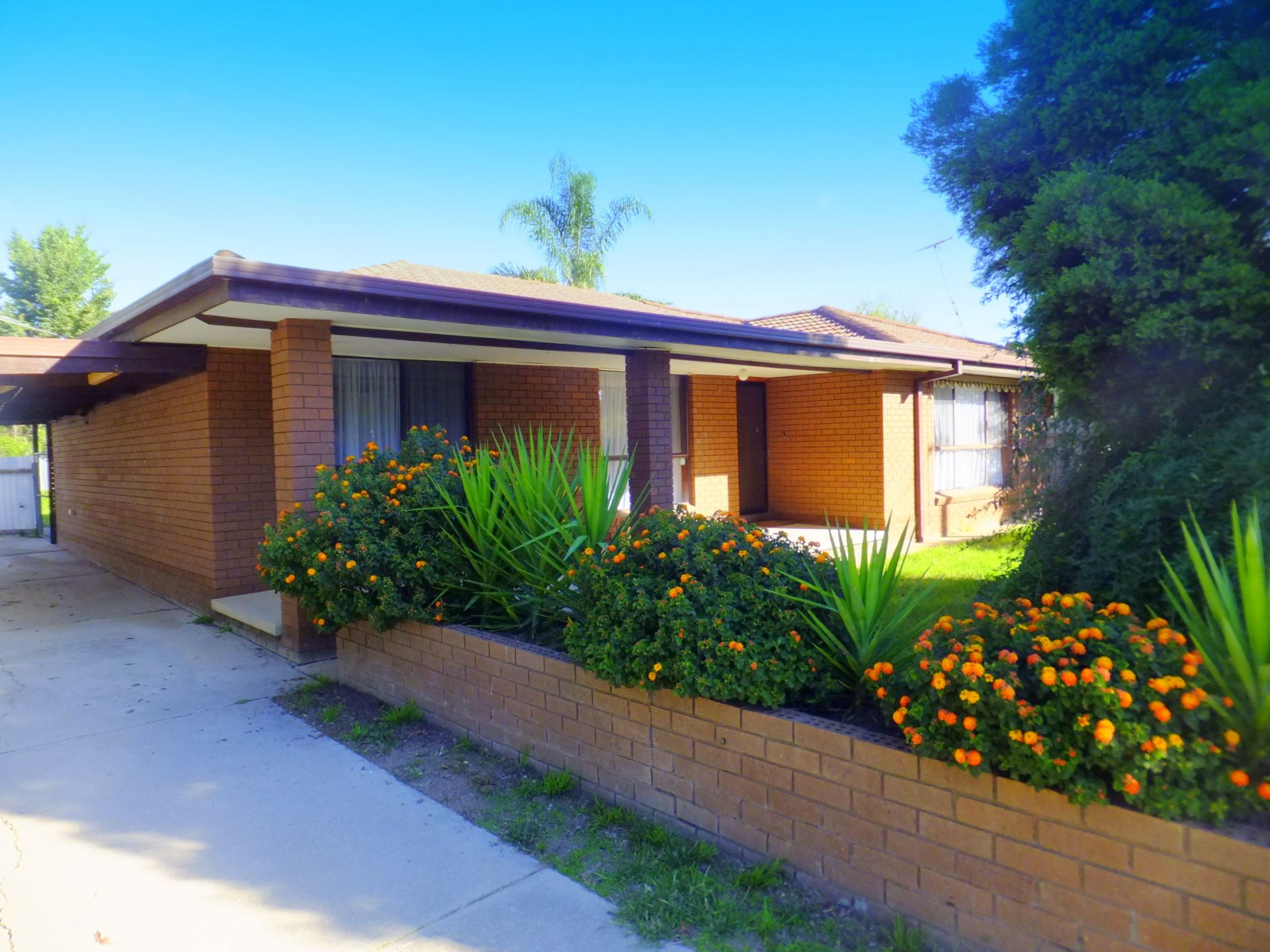 117 Adams Street, Jindera Kane Real Estate