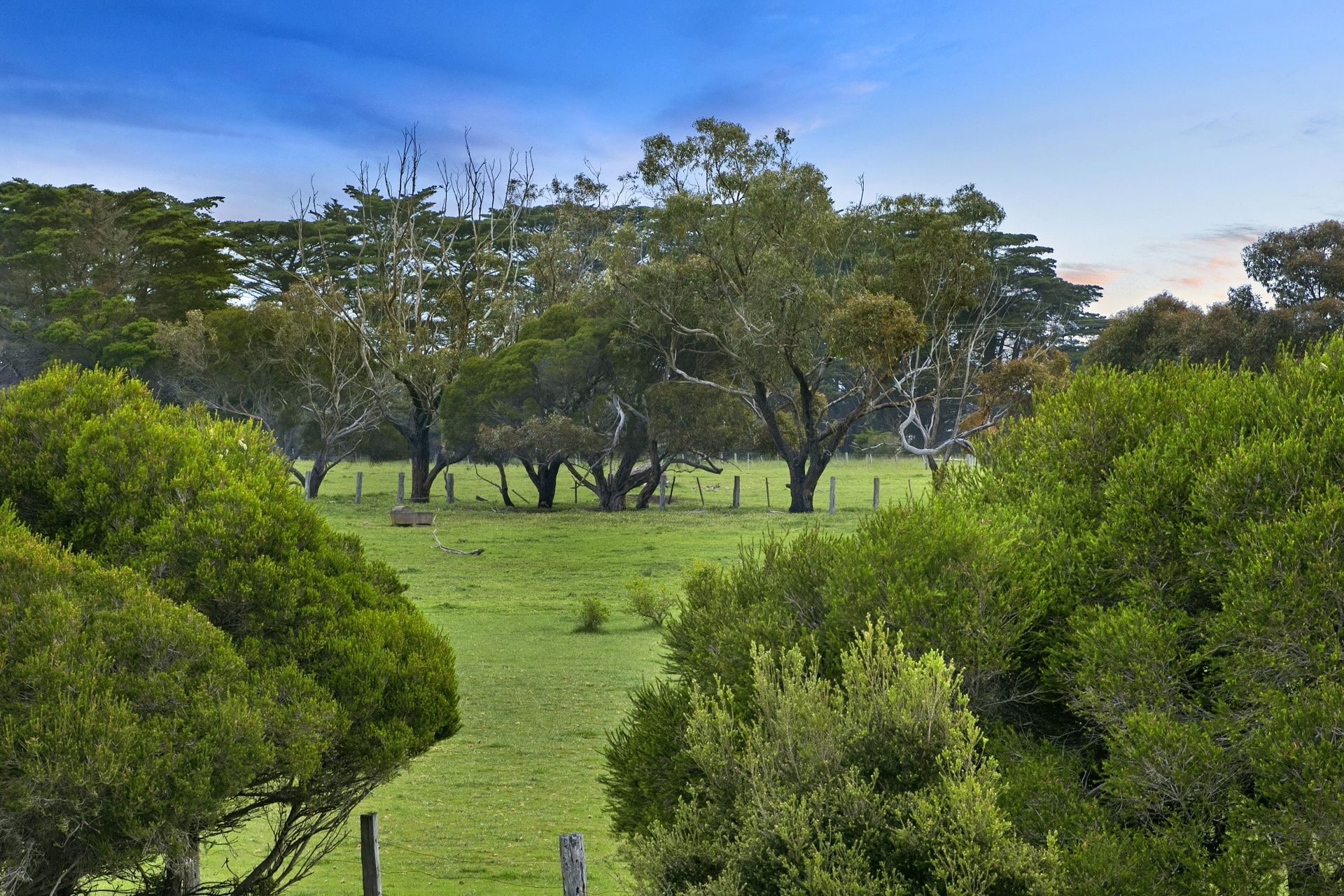 36 Saratoga Avenue Barwon Heads VIC, Barwon Heads - Thumbnail 4
