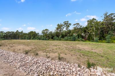 8 Bobwhite Drive, Aberdeen, Aberdeen - Thumbnail 4