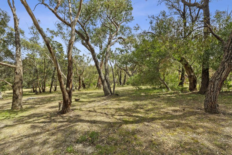 2.25 ACRES (approx) OF VACANT LAND, Aireys Inlet - Thumbnail 6
