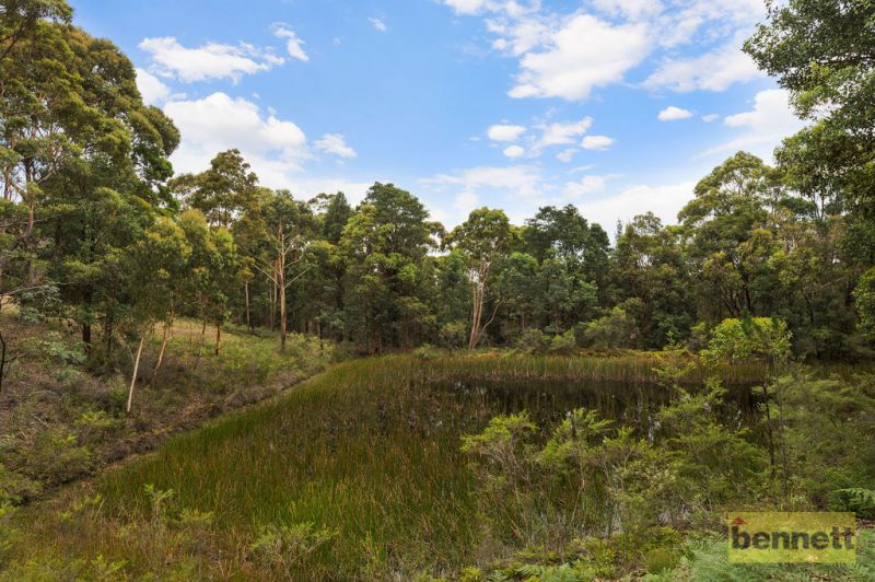 996 Mountain Lagoon Road, Bilpin - Thumbnail 6