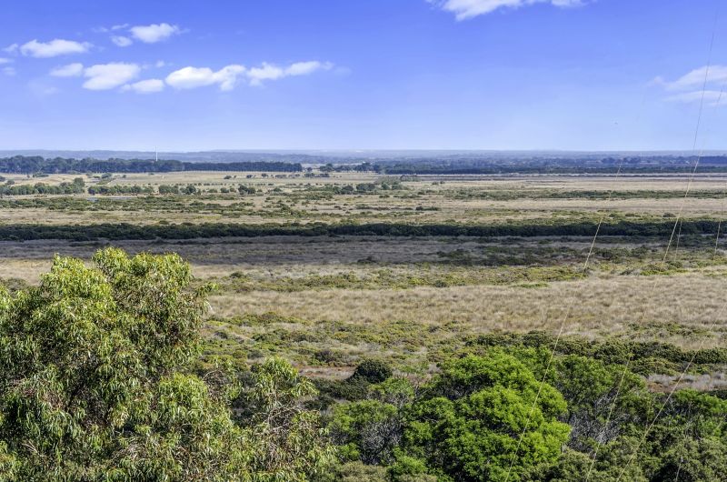 10 Thacker Street Ocean Grove VIC, Ocean Grove - Thumbnail 6