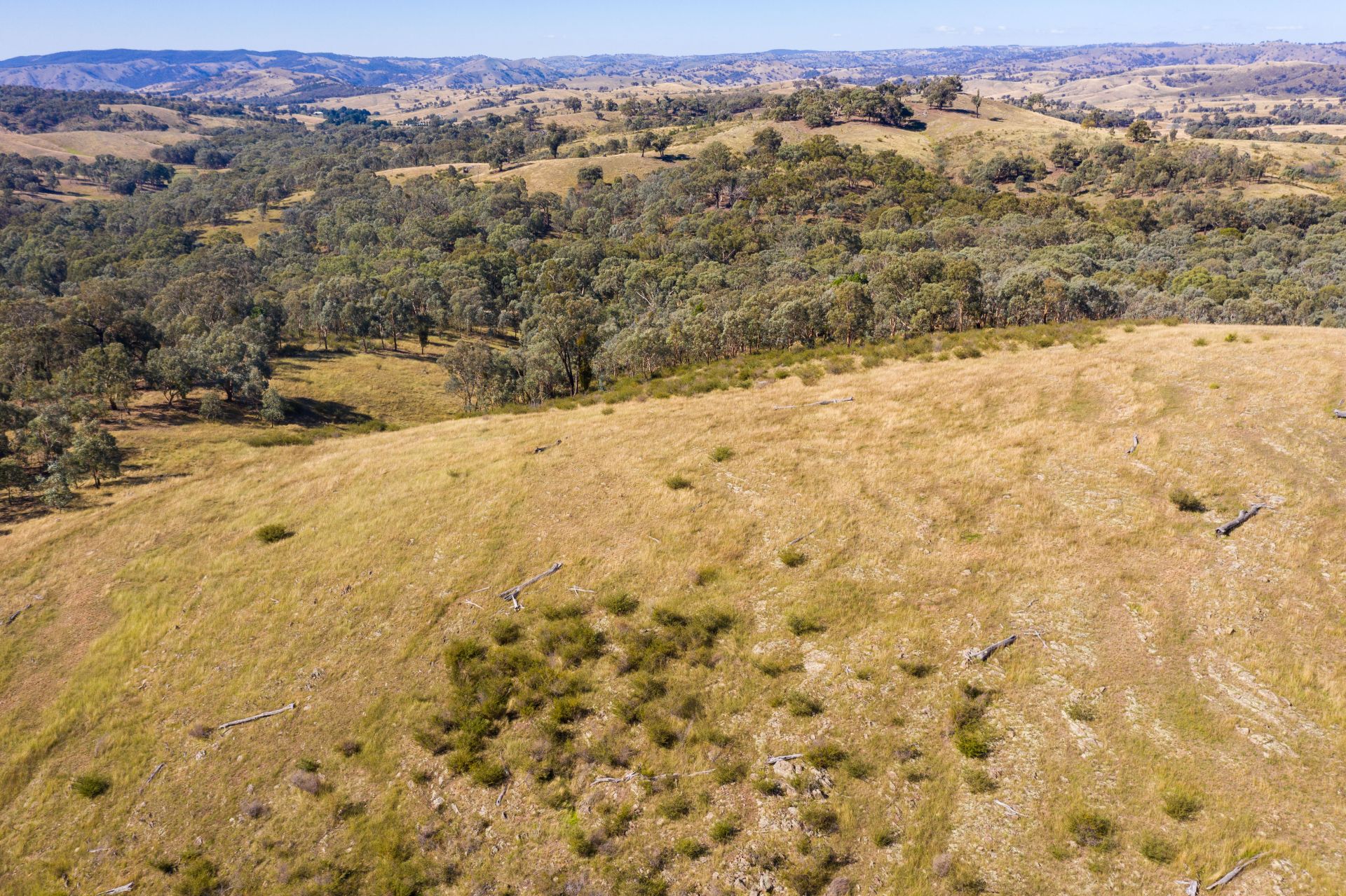 4 Old Wheeo Road, Taylors Flat NSW, Taylors Flat - Thumbnail 8