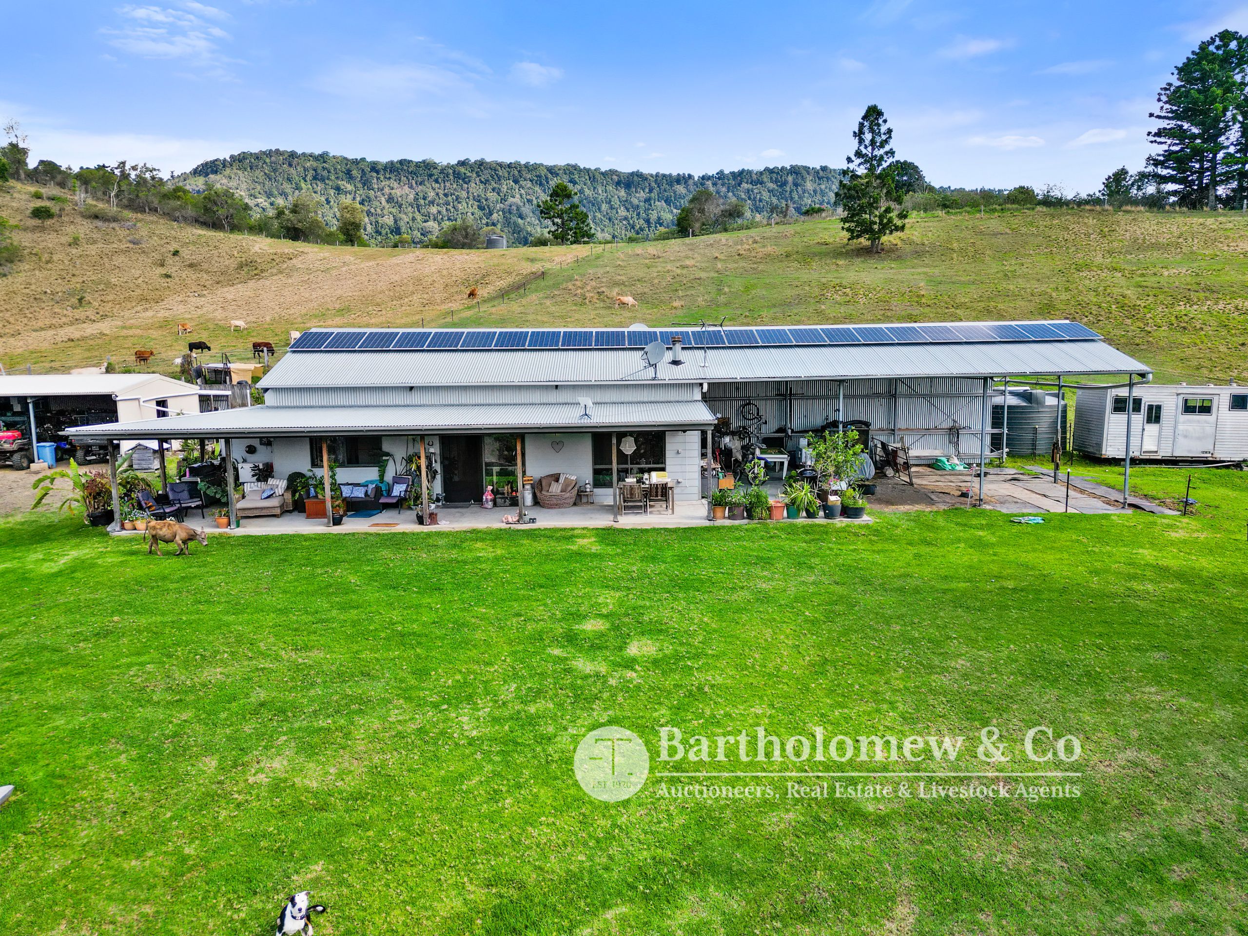 Real estate for sale koplick road running creek qld