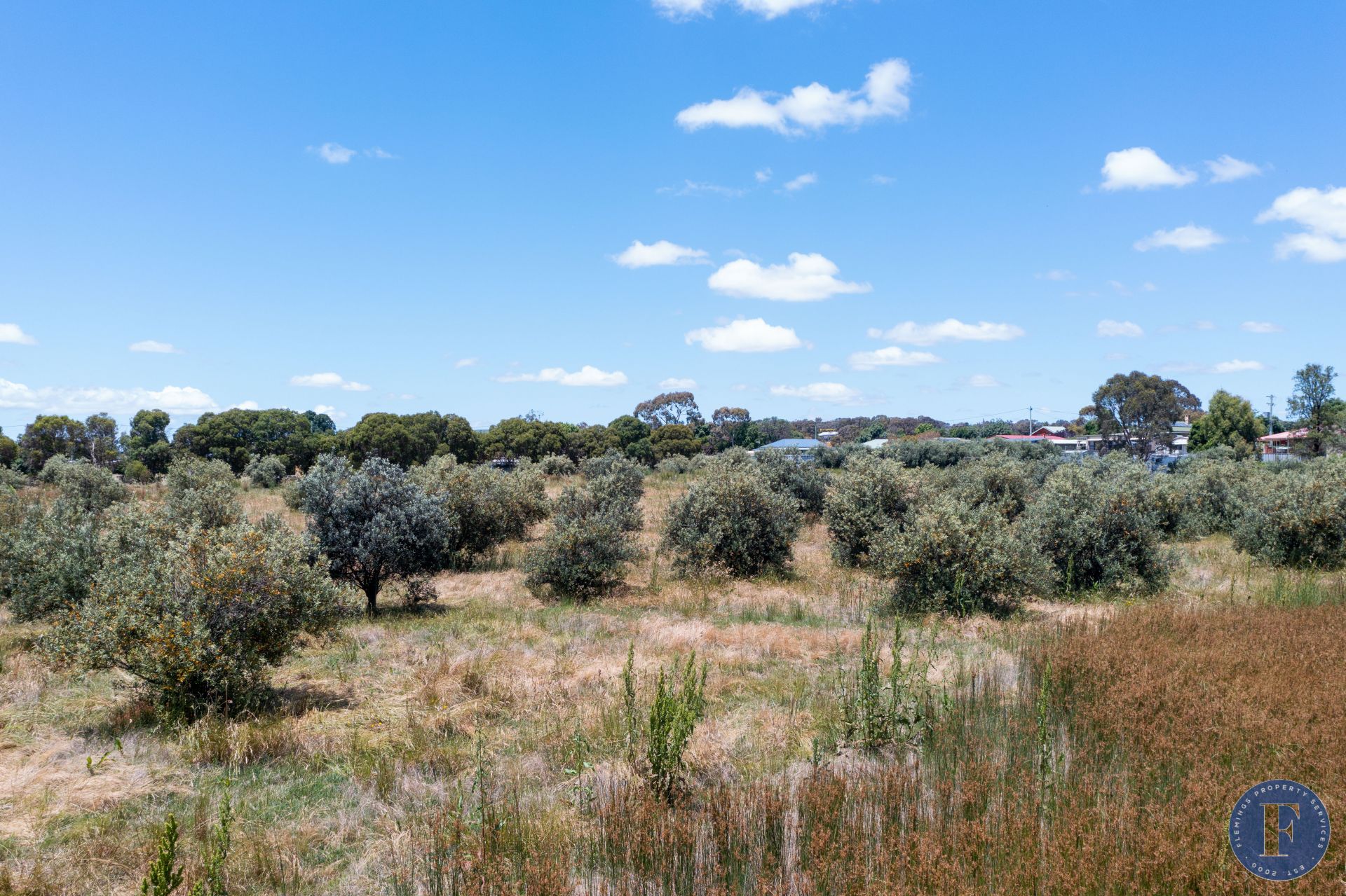 26 Court Street, Boorowa NSW, Boorowa - Thumbnail 3