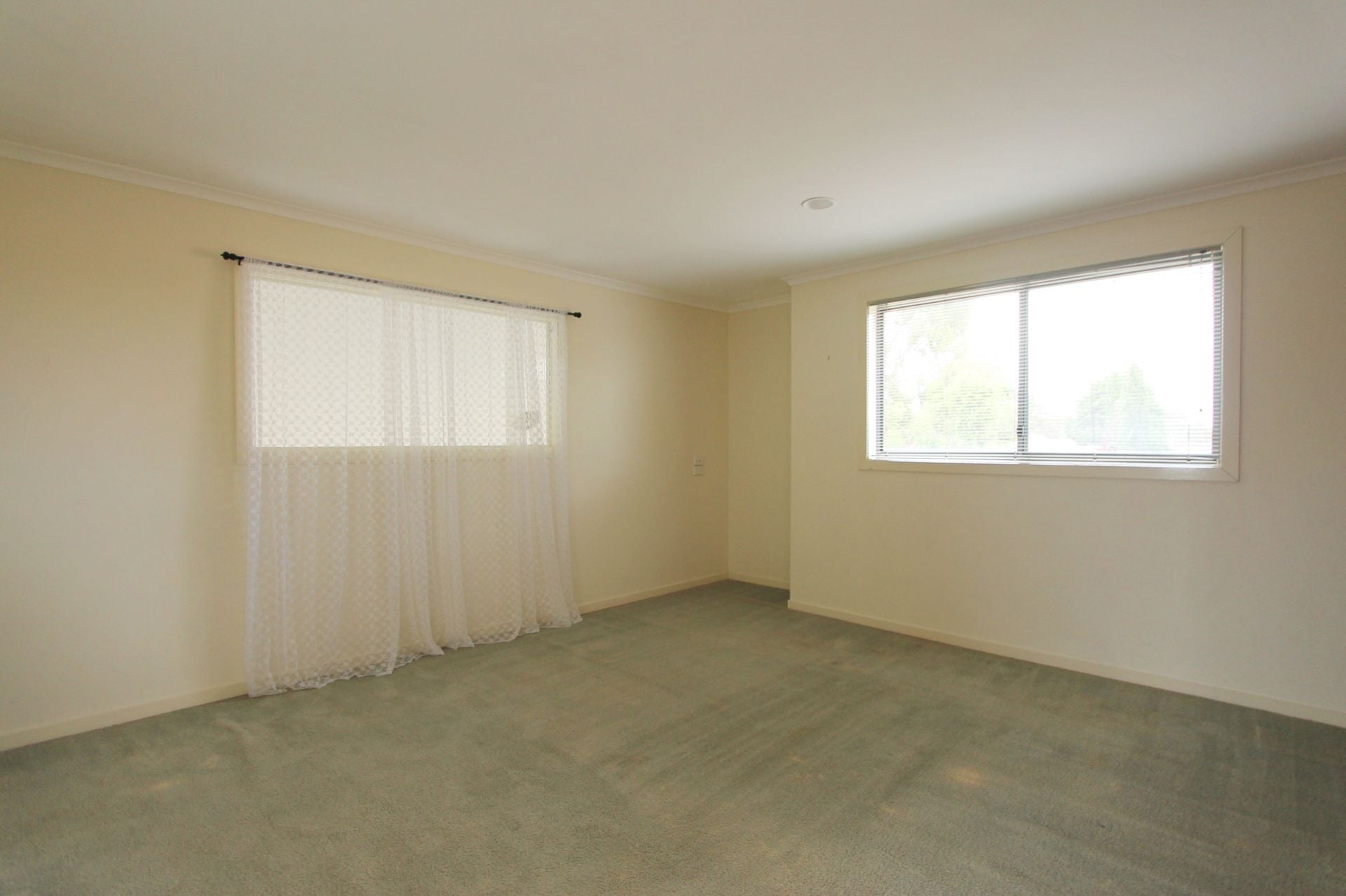 3 BEDROOM + STUDY AND LOW MAINTENANCE