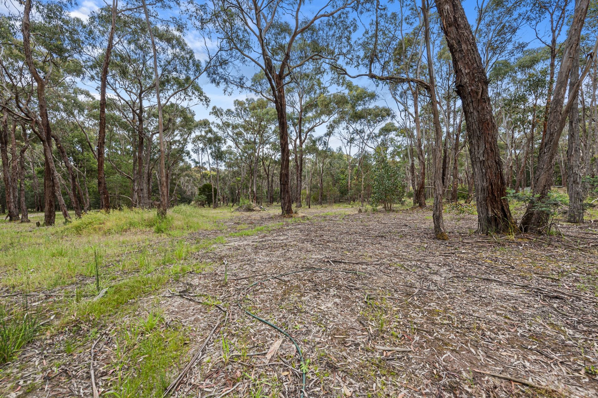 12 Stephen Street, Haddon, Haddon, Haddon - Thumbnail 2