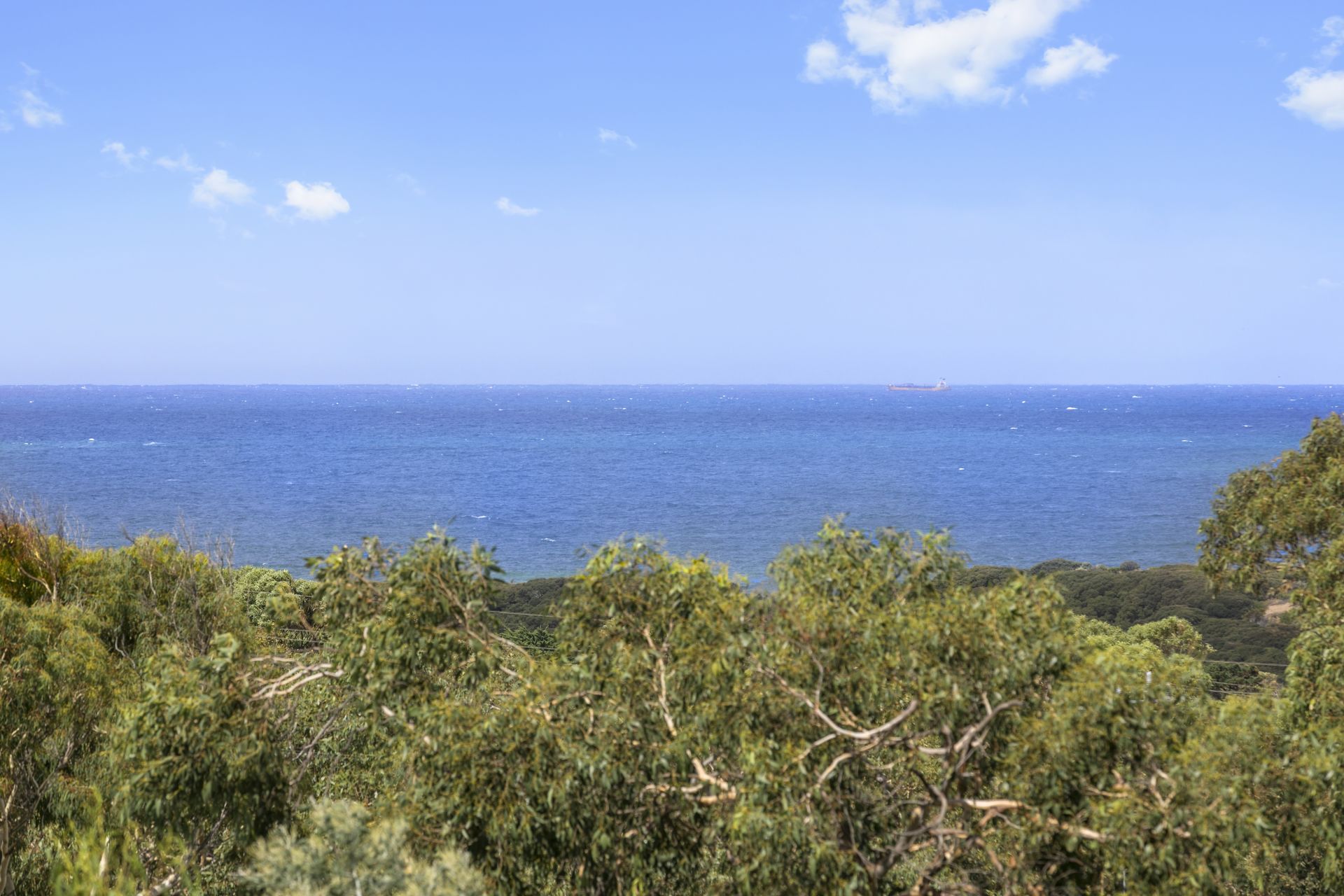 46 Fifth Avenue, Anglesea - Thumbnail 4