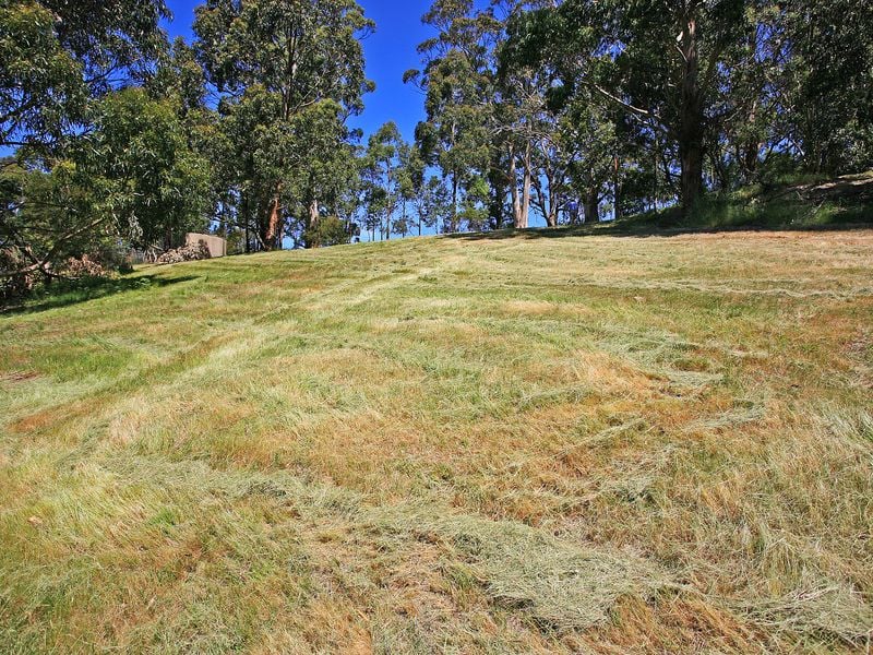 15 Cora Lynn Court, Lorne - Thumbnail 5