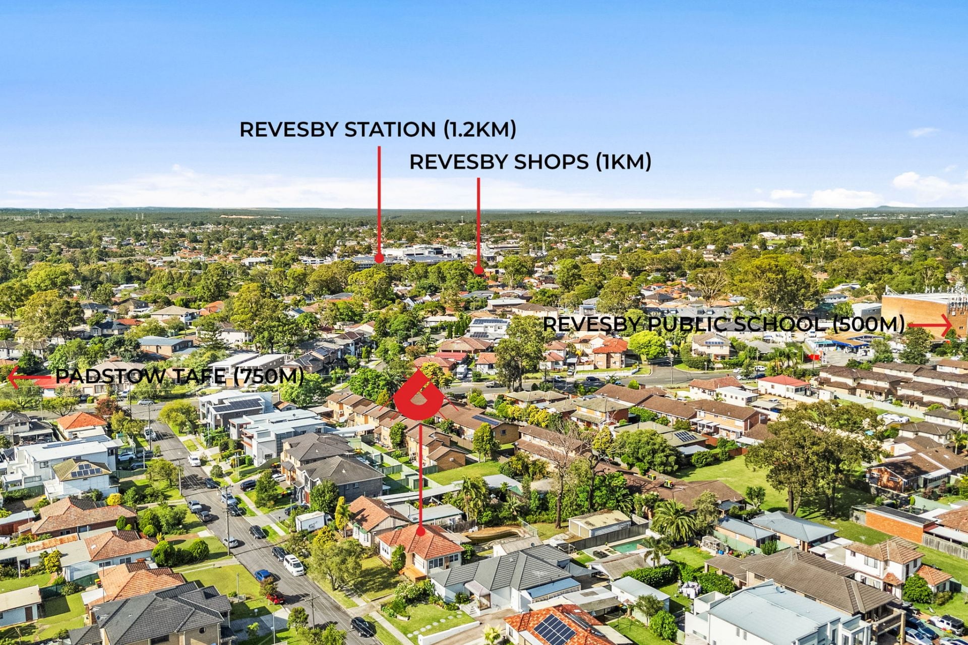8 Mahnken Avenue Revesby NSW, Revesby - Thumbnail 8
