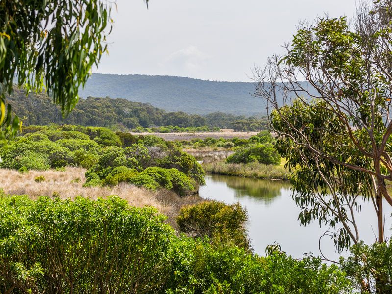 5/89 Great Ocean Road, Aireys Inlet - Thumbnail 3