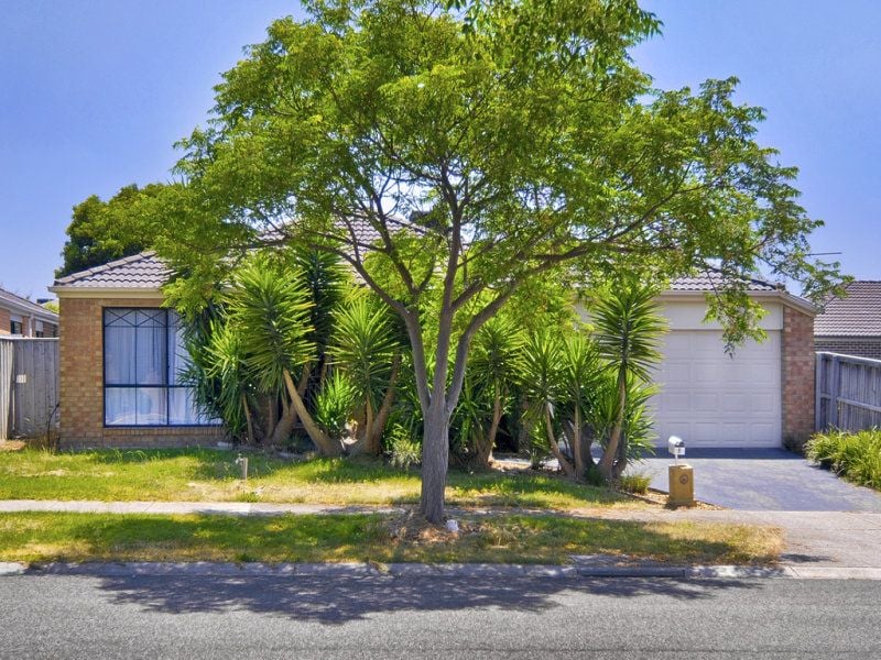 9 Stonecrop Crescent SOUTH MORANG, South Morang - Thumbnail 3
