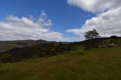 9 Smiths Plains Road, South Nietta, South Nietta - Thumbnail 8