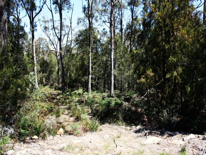 17 Rubicon Rise, Northdown, Northdown - Thumbnail 3