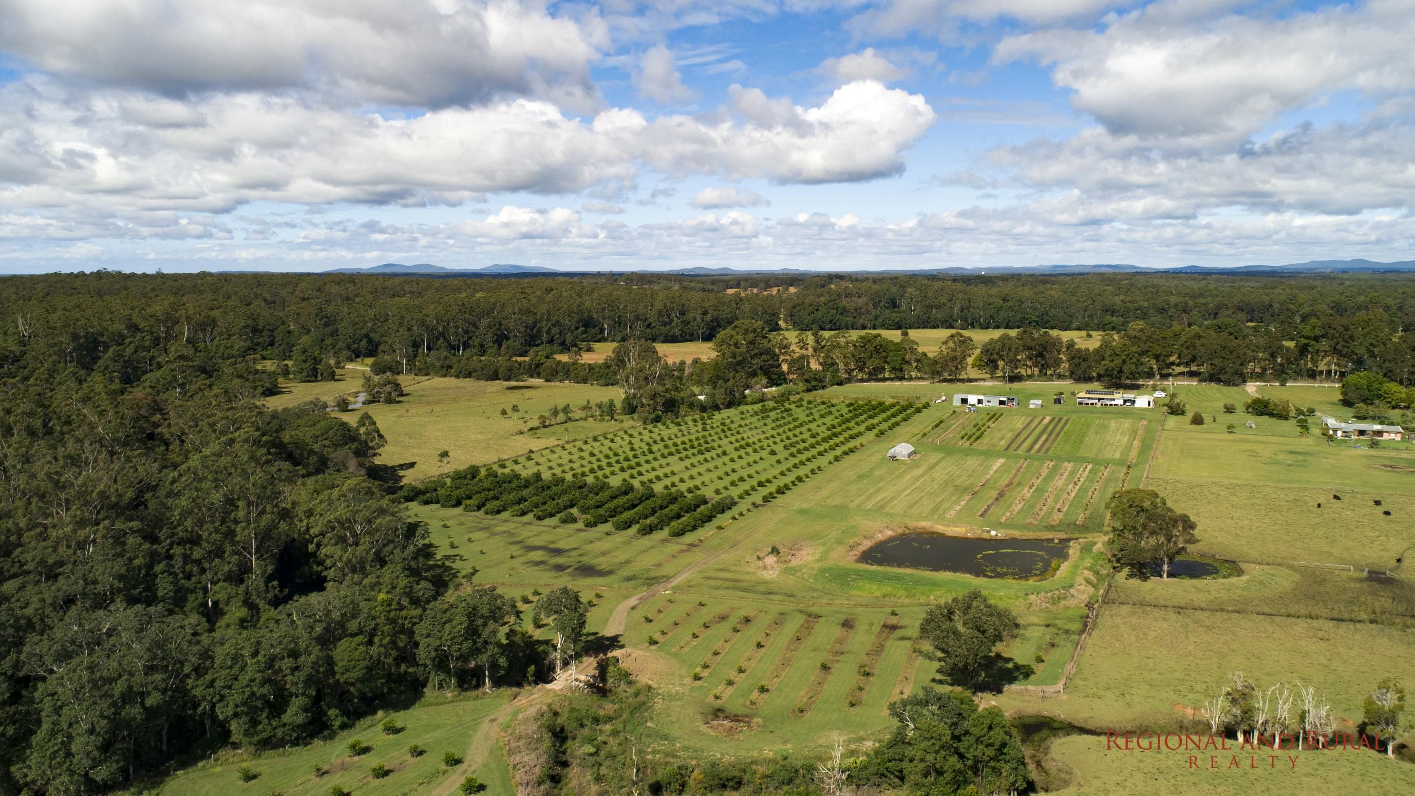 1252 Collombatti Rd, COLLOMBATTI NSW 2440