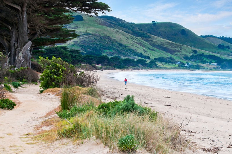 263 Great Ocean Road, Apollo Bay, VIC, Apollo Bay - Thumbnail 8