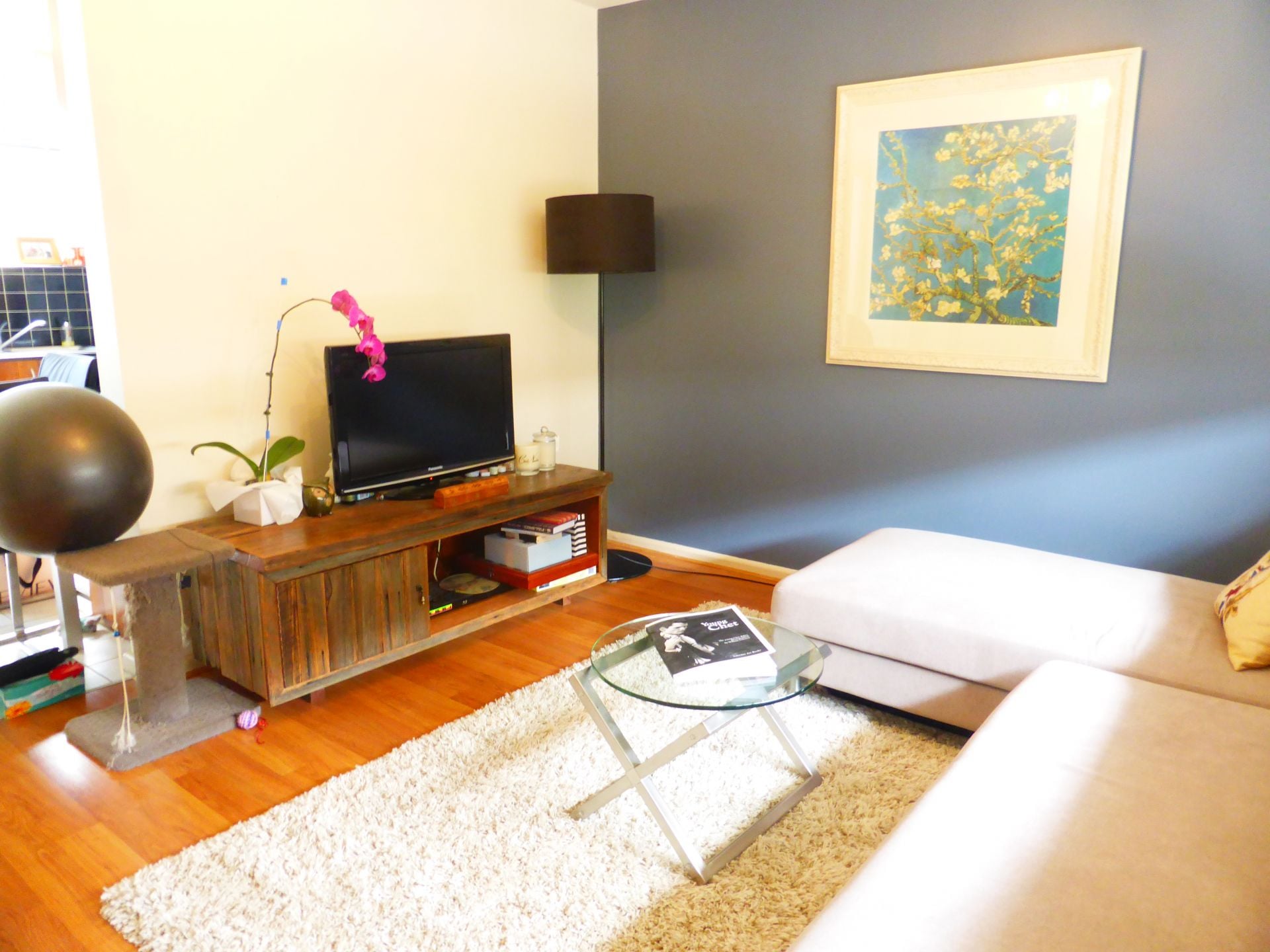 Inner City Pad with Exceptional Outdoor Area