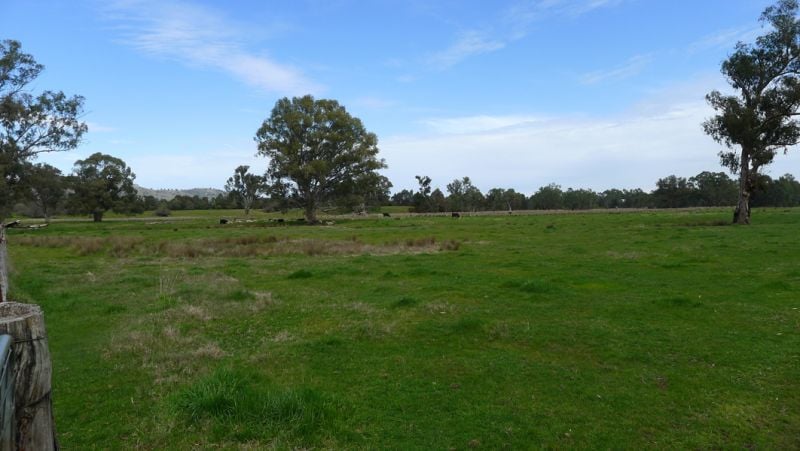 Moss Road Barnawartha North VIC, Barnawartha North - Thumbnail 5