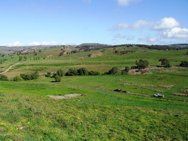 11 Rosehill Drive, Bacchus Marsh - Thumbnail 4