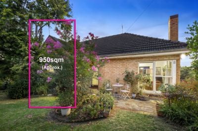 8 Harding Street, Surrey Hills