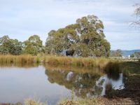 1251 Baldhills Road, GELANTIPY VIC, Gelantipy - Image 1