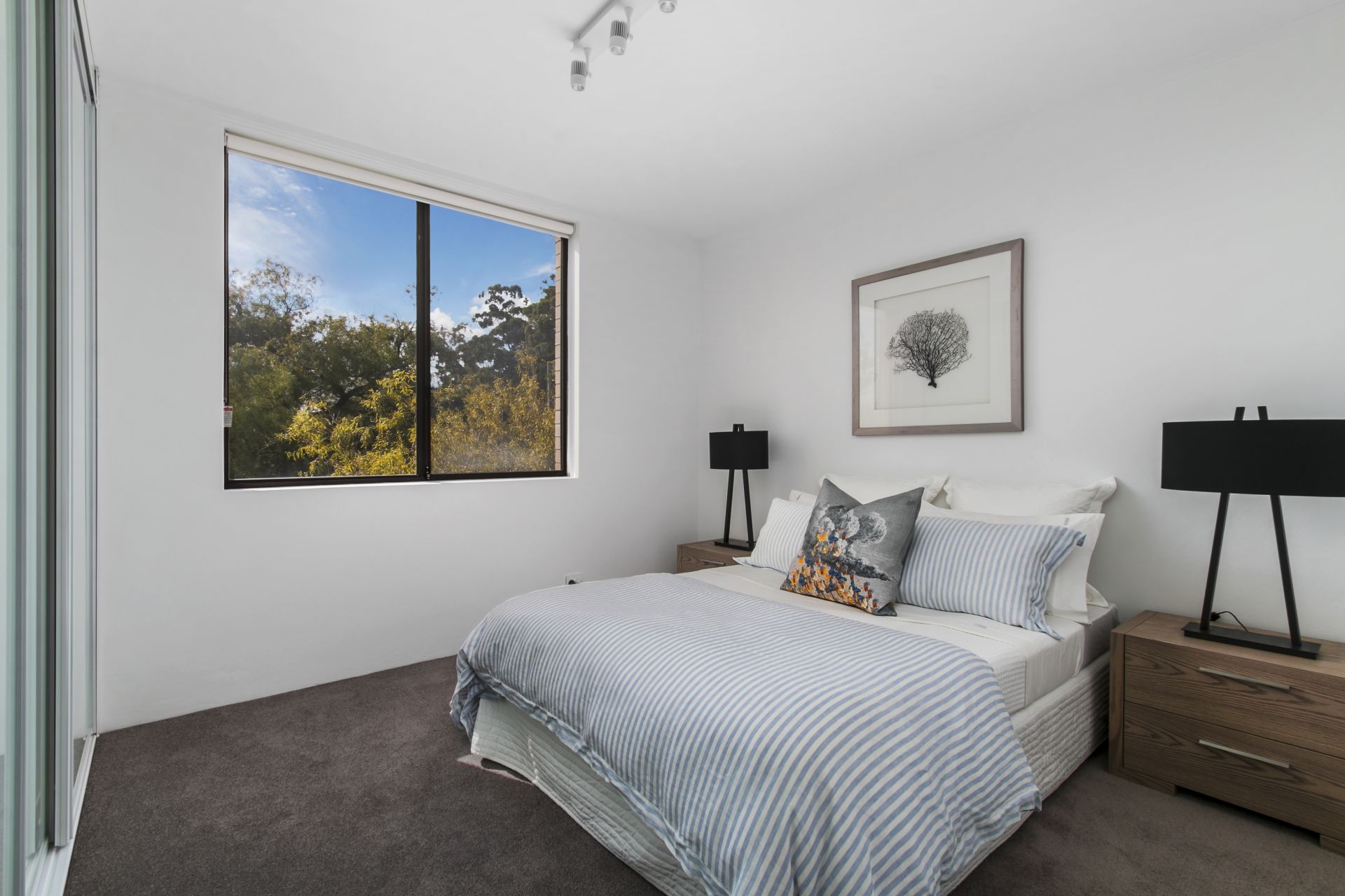 3/113 King Street, Randwick, Randwick - Thumbnail 4