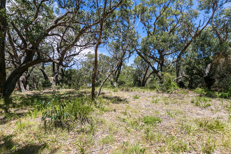 50 Aireys Street, Aireys Inlet, VIC, Aireys Inlet - Thumbnail 2