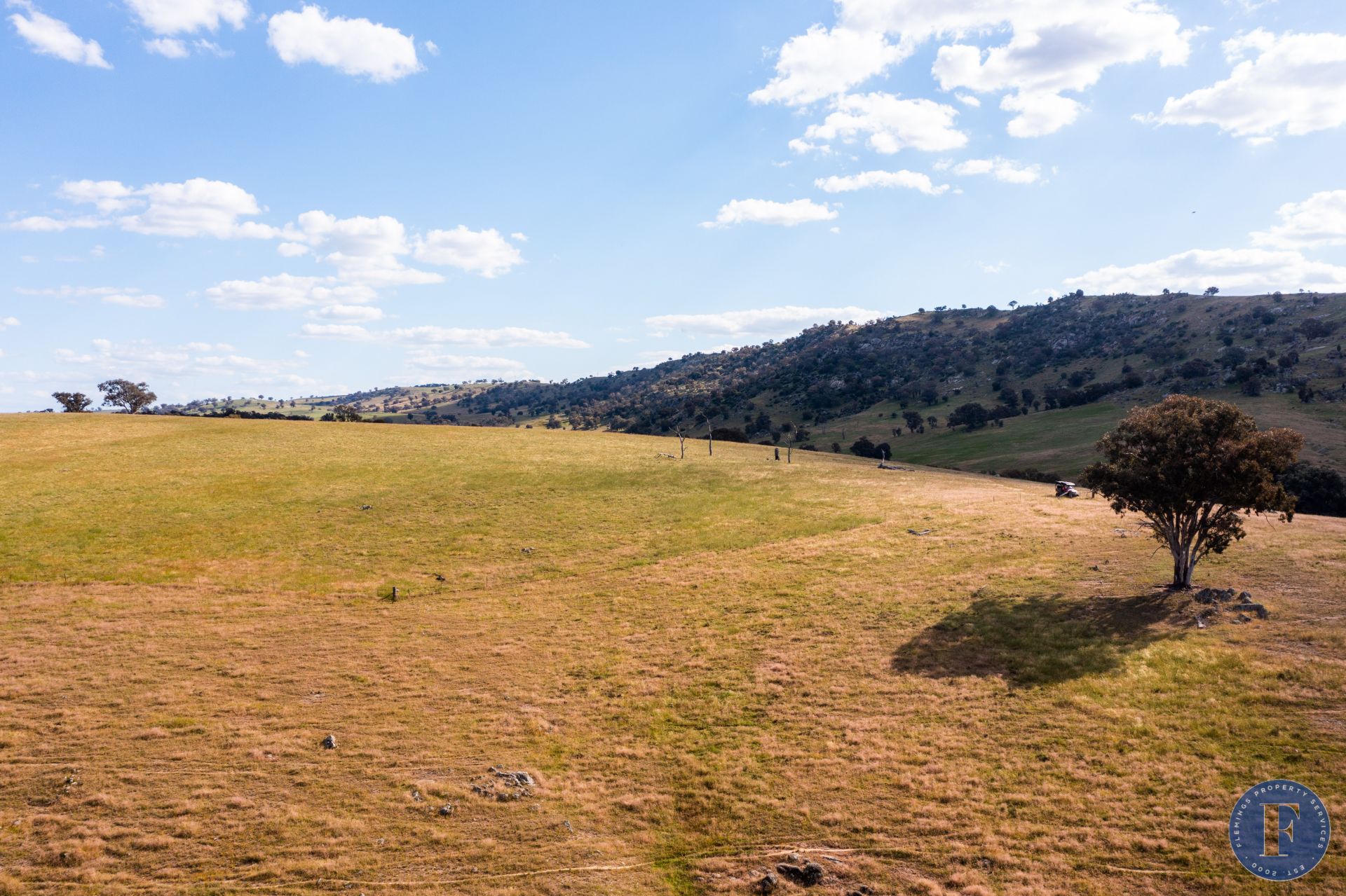 'Tyrone' 355 Ironbark Lane, Frogmore NSW, Frogmore - Thumbnail 8