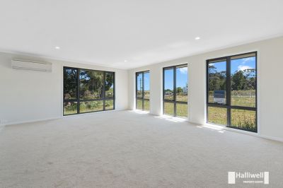 4
 
 
 
  
 
 
 2
 
 
 
  
 
 
 2
 
 
 
 
 
 
 
 4 Rubicon Rise, Northdown TAS 7307, Northdown - Thumbnail 5