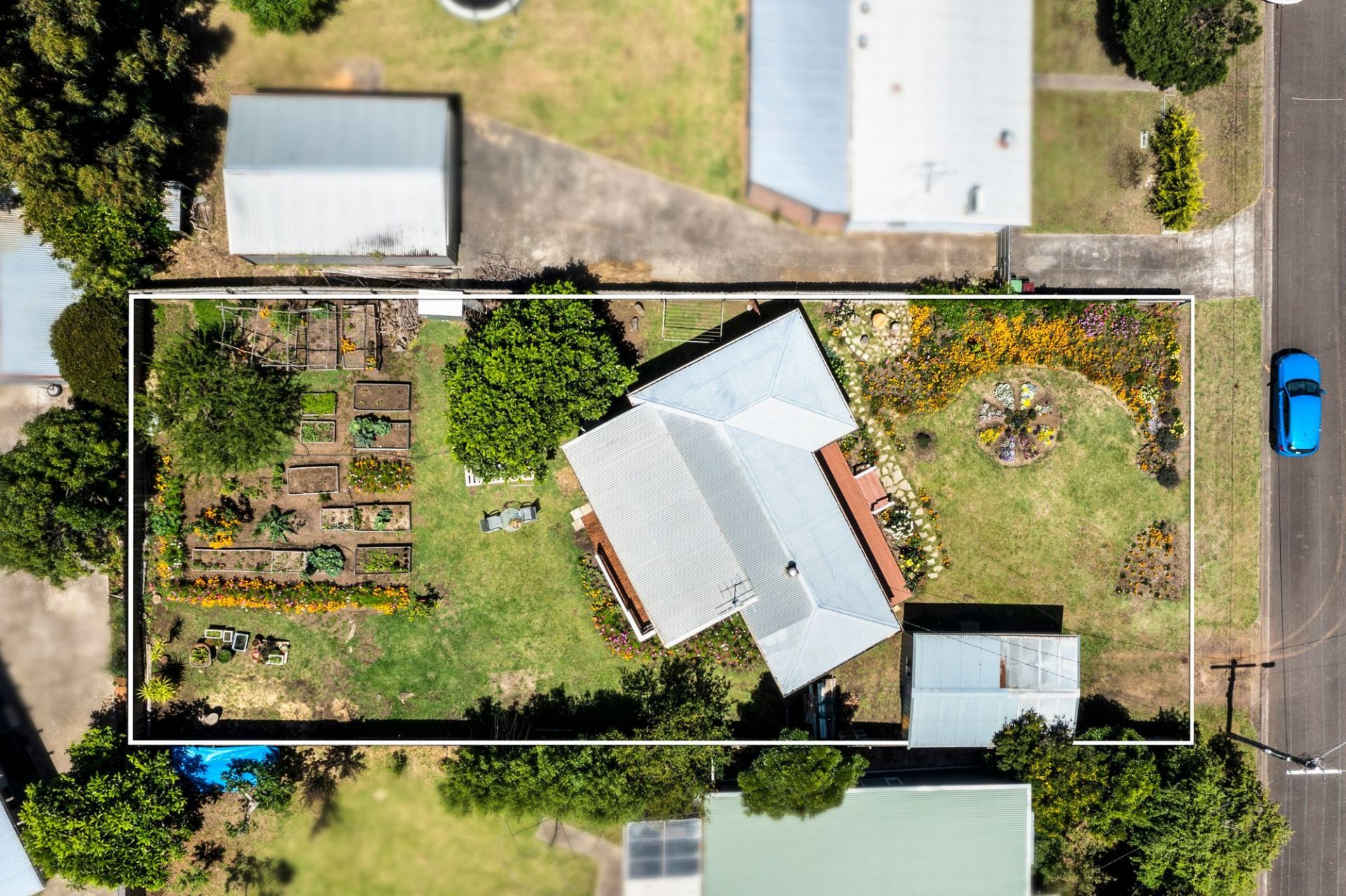 5 Mouchemore Avenue St Leonards VIC, St Leonards - Thumbnail 6
