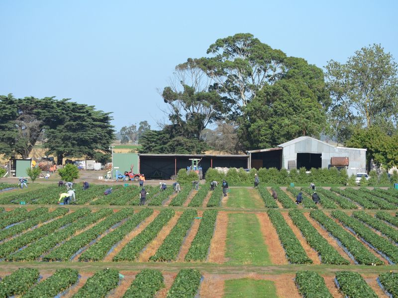 200 McDonalds Road Catani