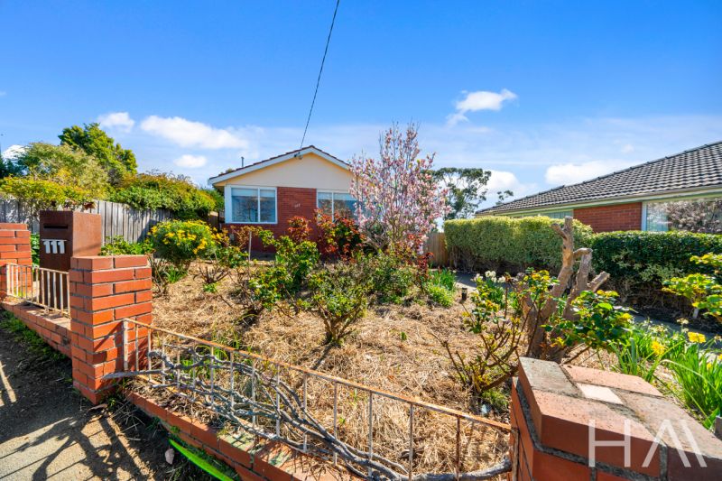 111 Forest Road West Hobart, West Hobart - Thumbnail 3