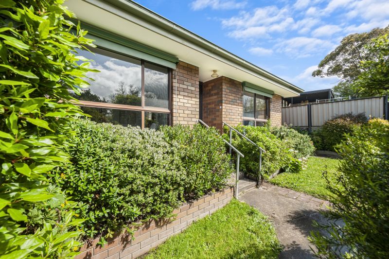 3/6 Cobden Street, Mount Pleasant, Mount Pleasant, Mount Pleasant - Thumbnail 5