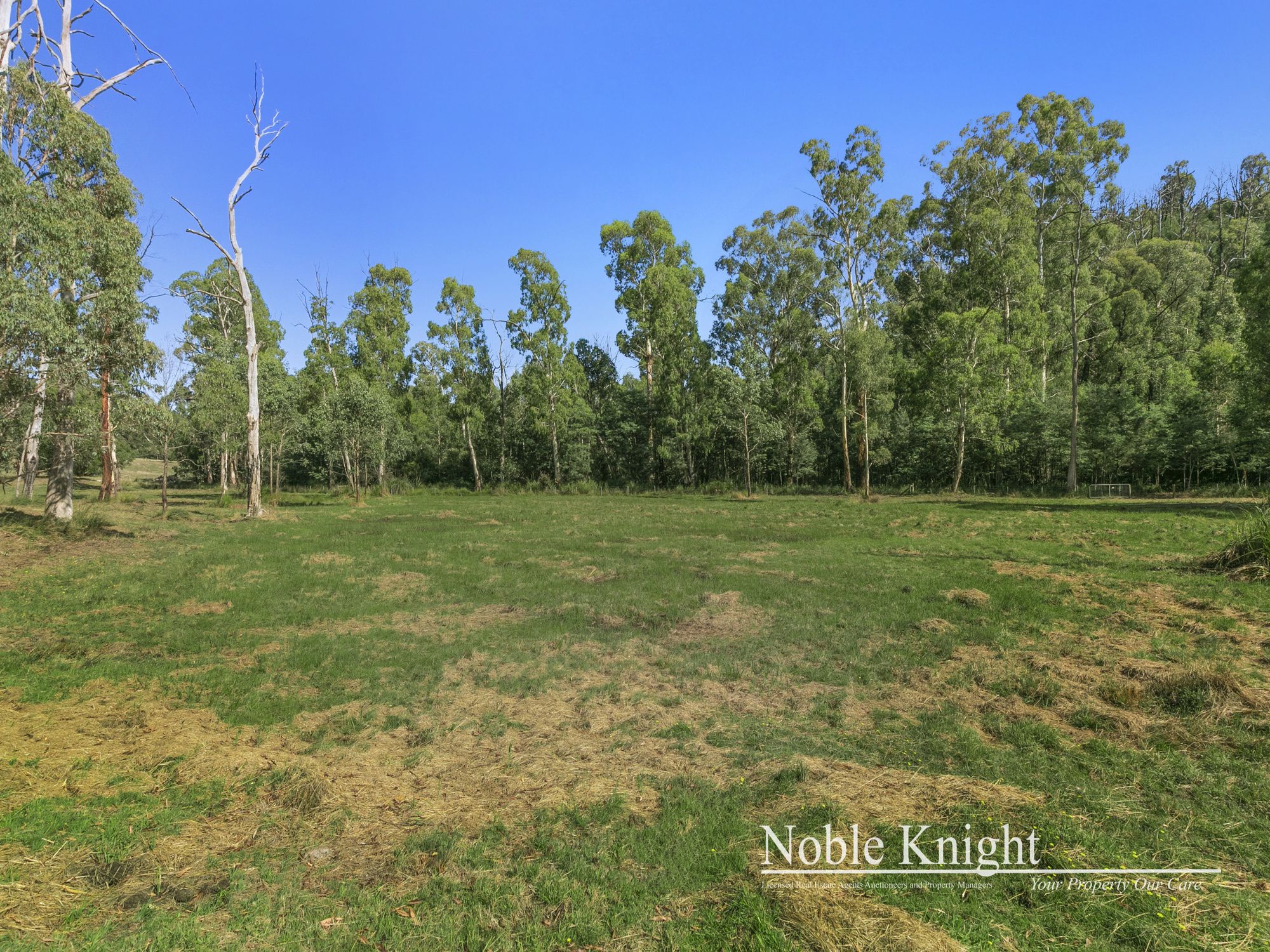 253 Wilhelmina Falls Road Murrindindi