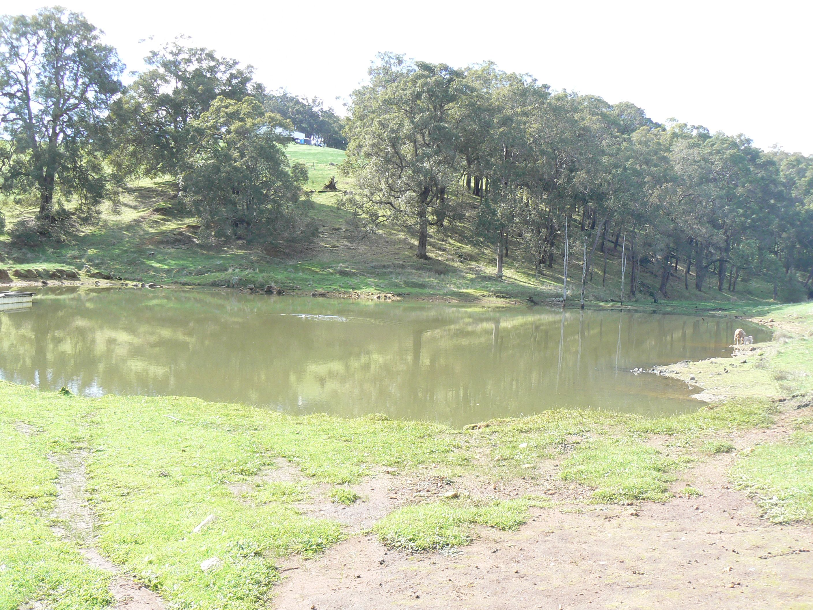 Real Estate For Sale Lot 2 Upper Capel Road Upper Capel , WA