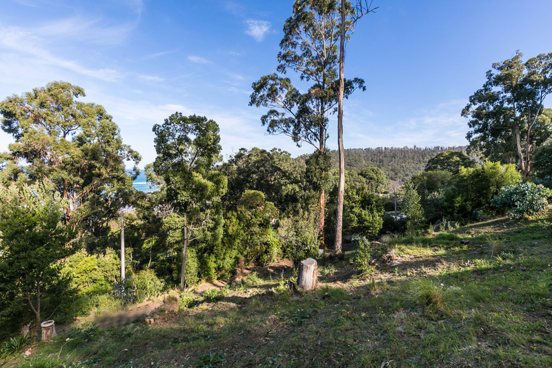 4 The Boulevarde, Wye River, VIC, Wye River - Thumbnail 2