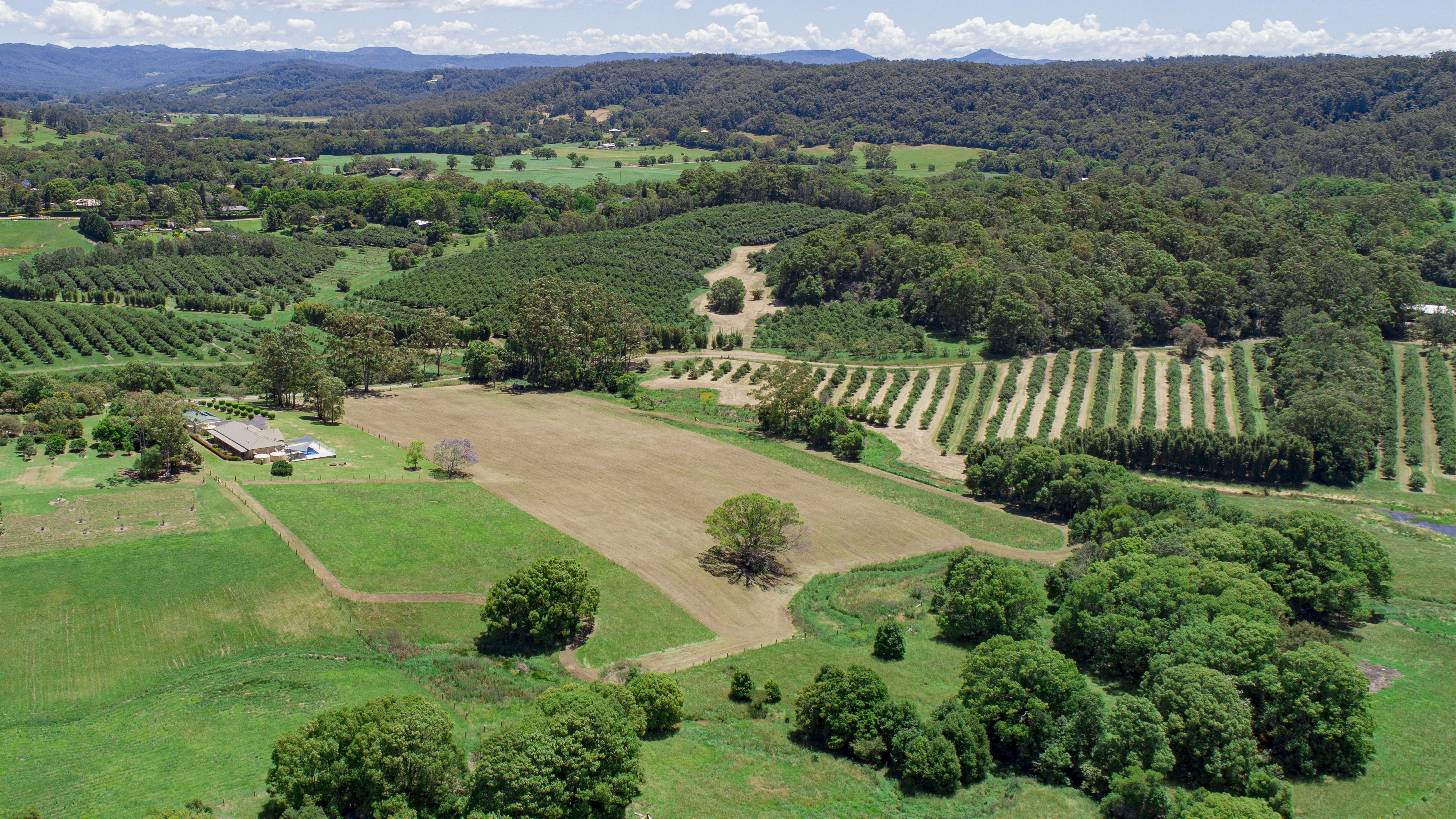 22 Crosses Lane, STEWARTS RIVER NSW 2443