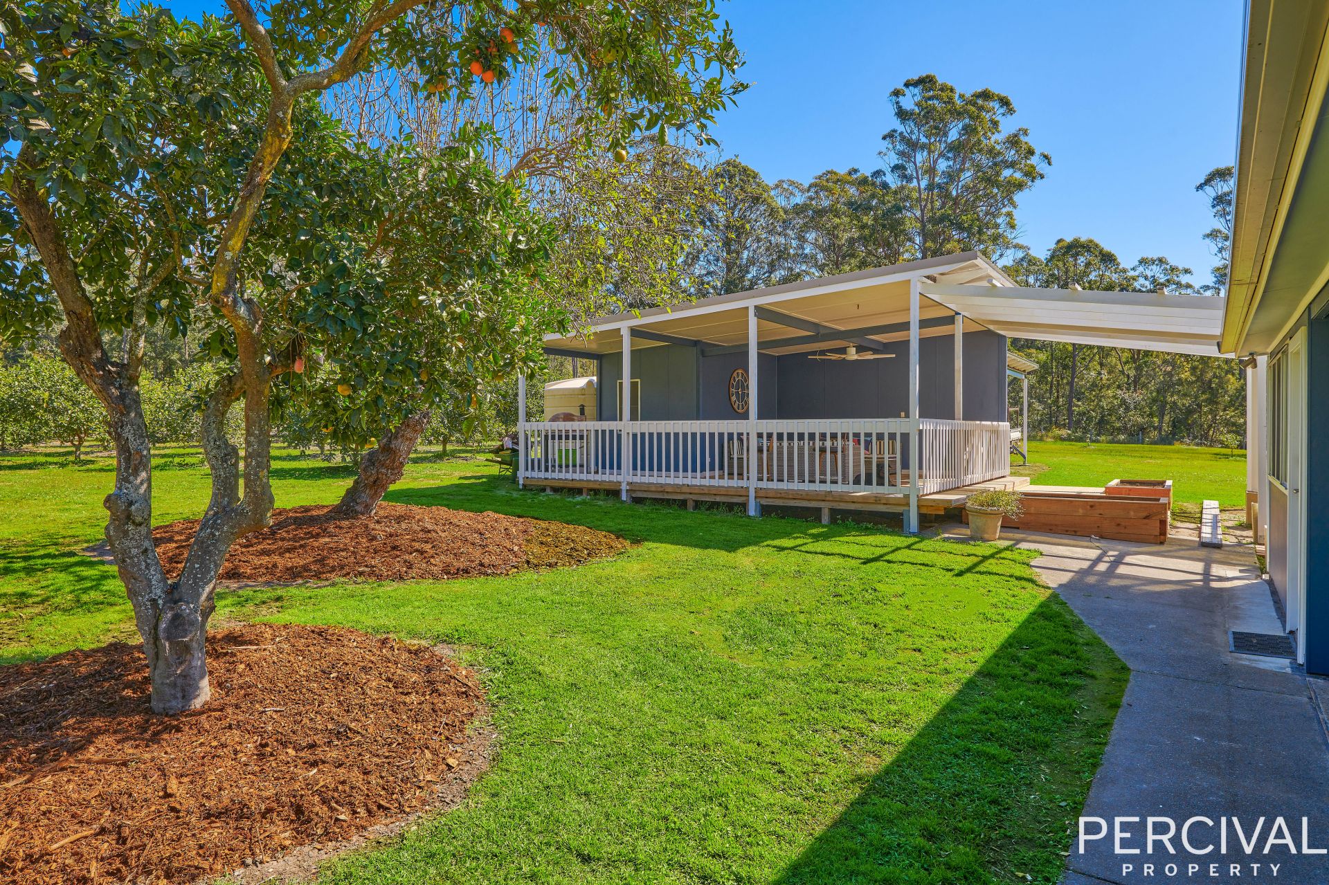 123 Blackbutt Road Herons Creek NSW, Herons Creek - Thumbnail 6