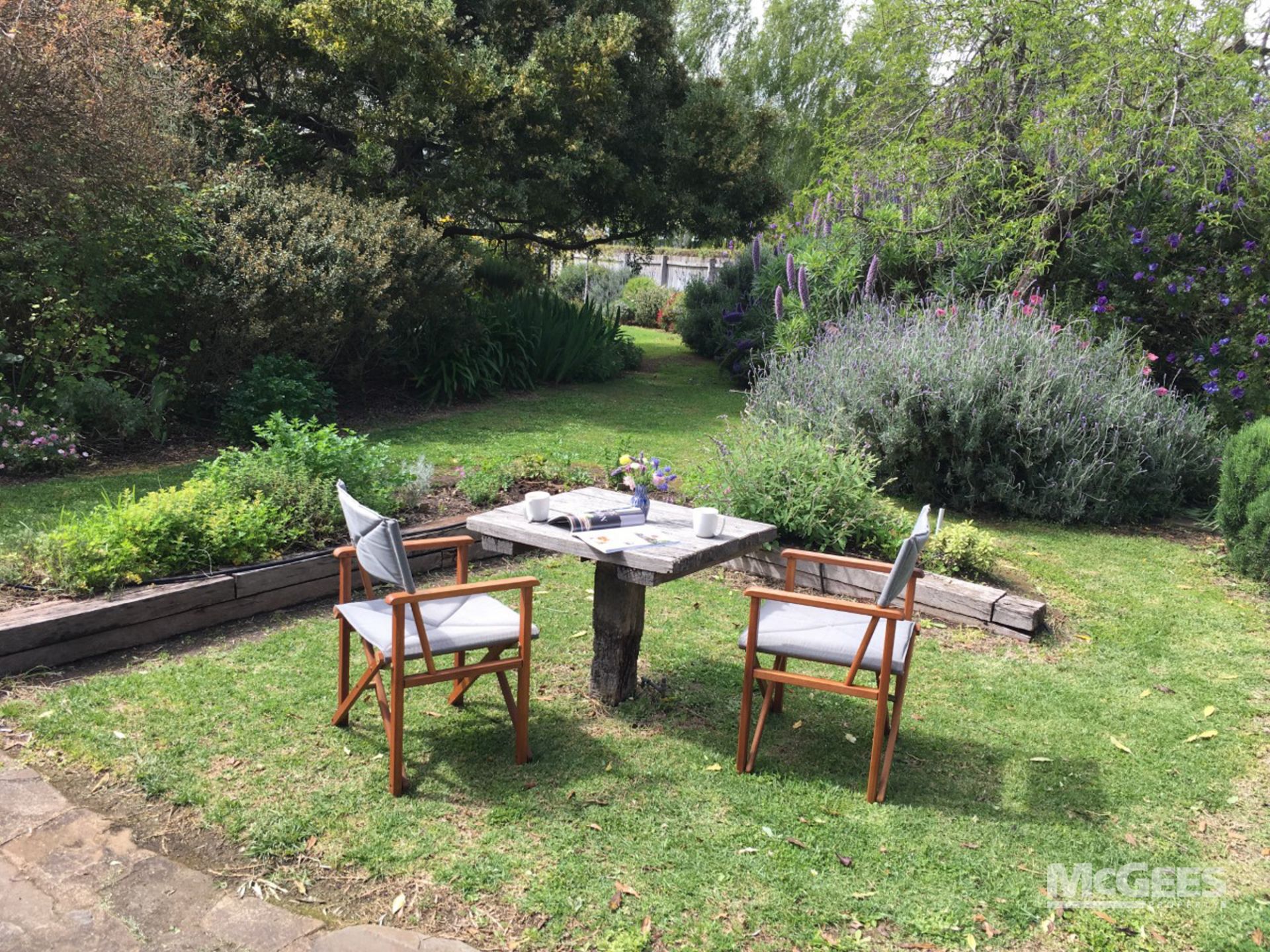 126 Church Street, Penola McGees Property Adelaide