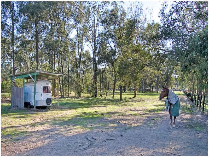 LONDONDERRY, NSW, Londonderry - Thumbnail 7