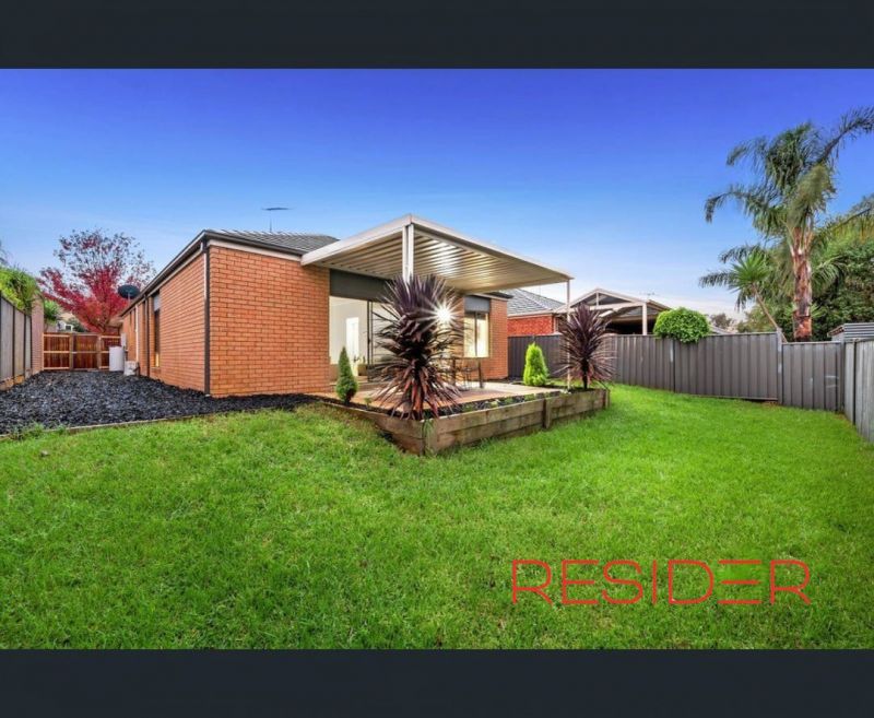 11 Ambridge Street Mernda, Mernda - Thumbnail 2